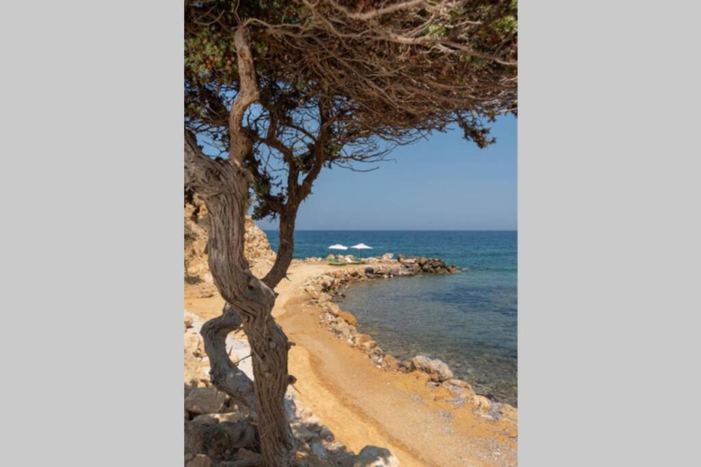 Ktima Sfakia Kéfalos Exterior foto