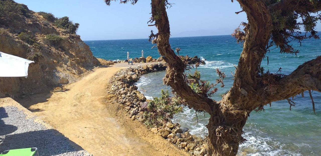 Ktima Sfakia Kéfalos Exterior foto